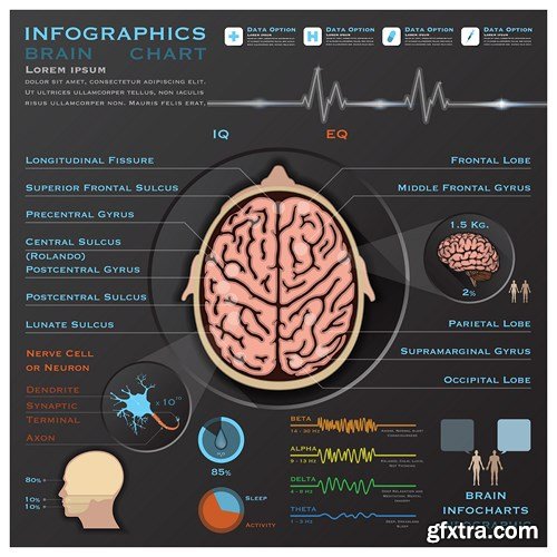 Medical Infographics, 25xEPS