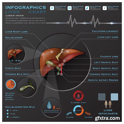 Medical Infographics, 25xEPS