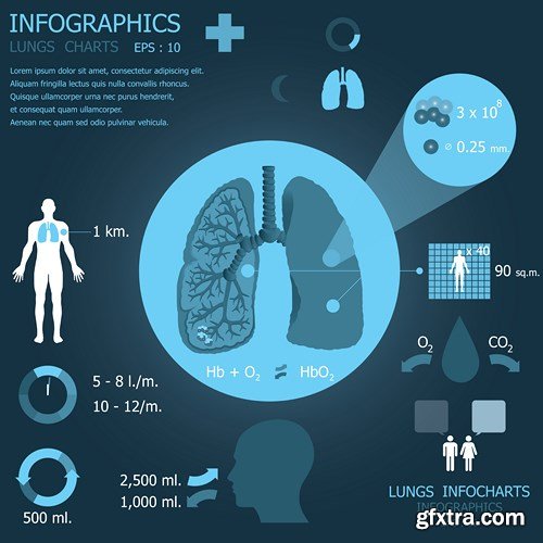 Medical Infographics, 25xEPS