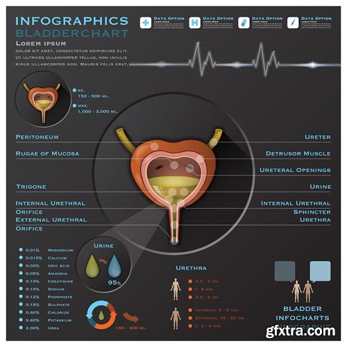 Medical Infographics, 25xEPS