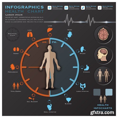 Medical Infographics, 25xEPS