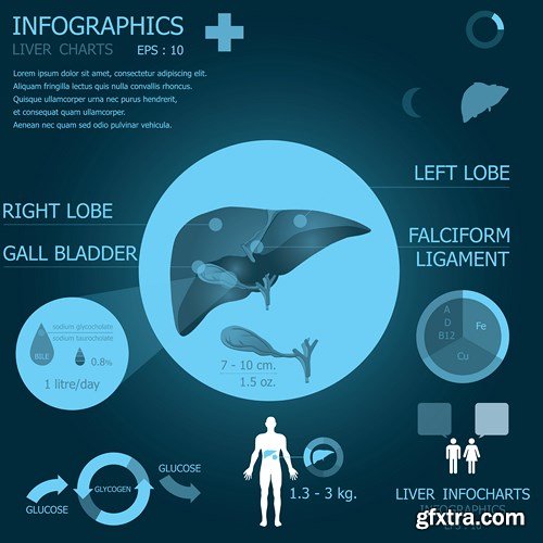 Medical Infographics, 25xEPS