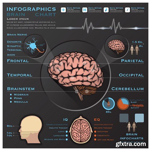 Medical Infographics, 25xEPS