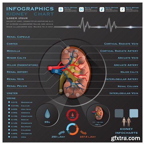 Medical Infographics, 25xEPS