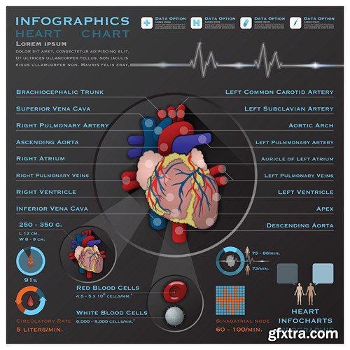 Medical Infographics, 25xEPS