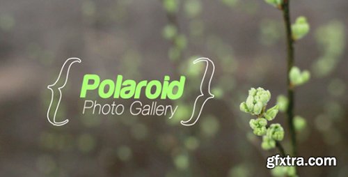 Videohive Spring Photo Gallery 7712946