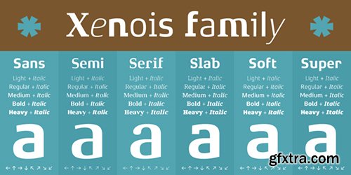 Xenois Font Family- 60 Fonts $2100