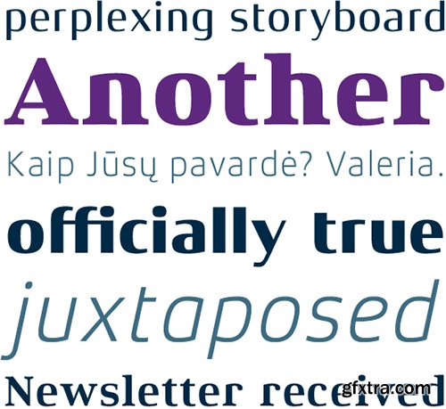 Xenois Font Family- 60 Fonts $2100