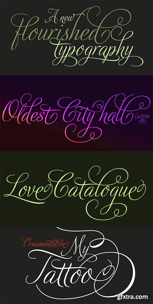 Adios Script Pro Font - 1 Font $99