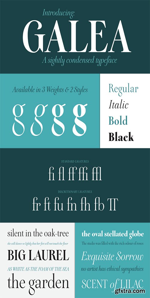 Galea Display Font Family - 4 Font $200