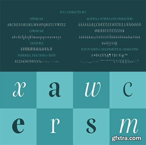 Galea Display Font Family - 4 Font $200