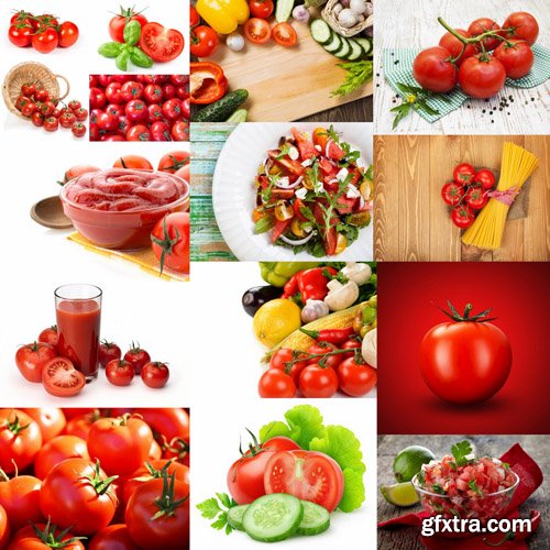 Tomatoes Collection - 25 HQ Images