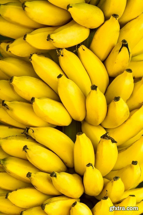 Stock Photos - Bananas, 25xJPG