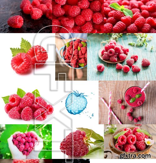 Stock Photos - Raspberry 2, 25xJPG