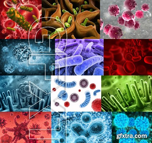 Stock Photos - Bacteria virus under microscope 2, 25xJPG