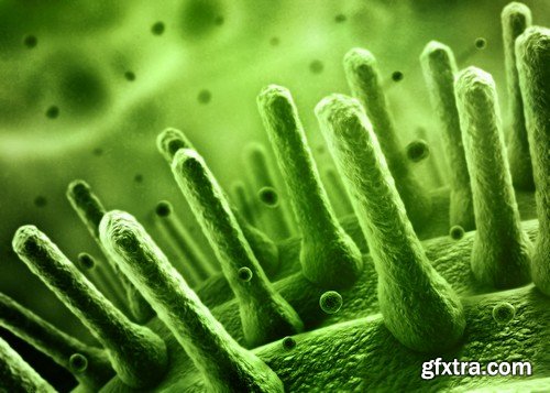 Stock Photos - Bacteria virus under microscope 2, 25xJPG