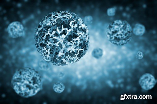 Stock Photos - Bacteria virus under microscope 2, 25xJPG