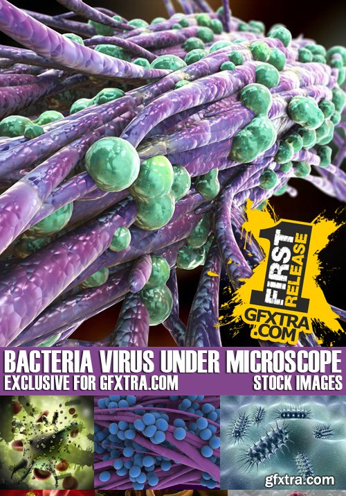 Stock Photos - Bacteria virus under microscope 2, 25xJPG