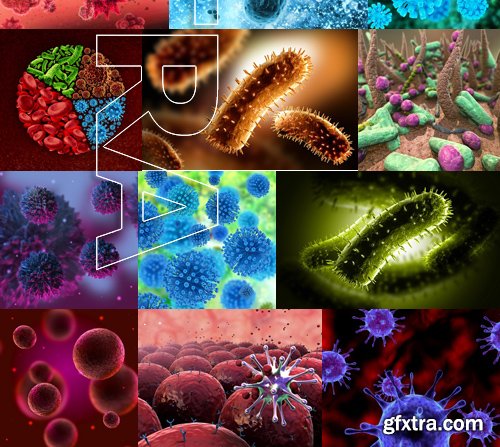 Stock Photos - Bacteria virus under microscope 2, 25xJPG