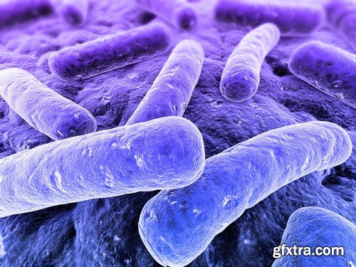 Stock Photos - Bacteria virus under microscope 2, 25xJPG