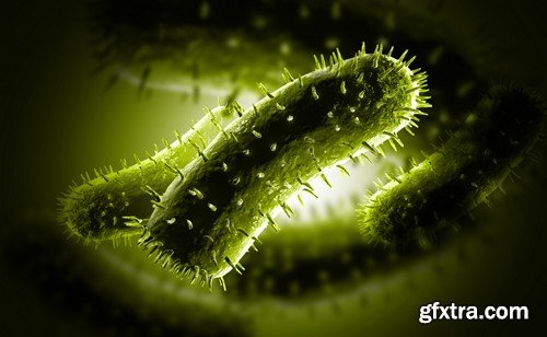 Stock Photos - Bacteria virus under microscope 2, 25xJPG