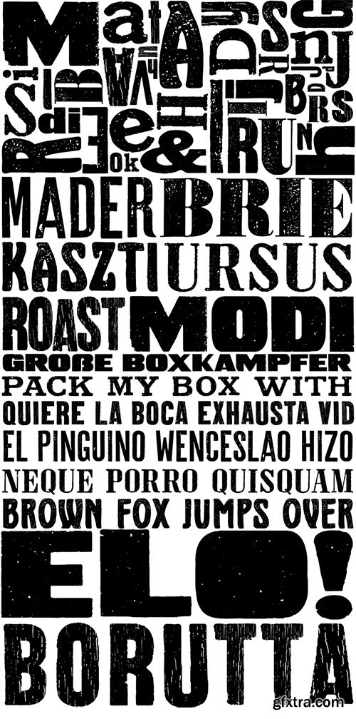 Wood Type Collection Font Family - 39 Font $390