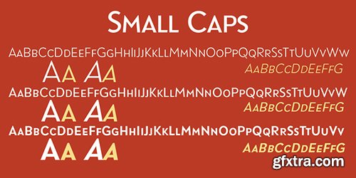 Yonker Font Family - 6 Font $230