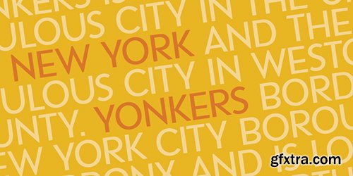 Yonker Font Family - 6 Font $230