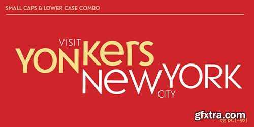 Yonker Font Family - 6 Font $230