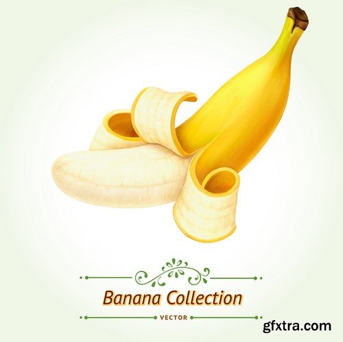 Stock Vectors - Bananas 2, 25xEPS