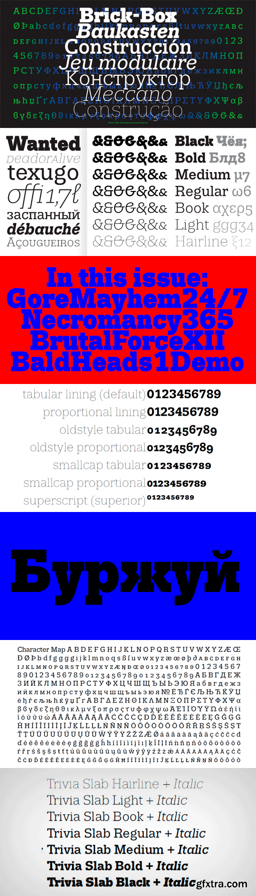 Trivia Slab Font Family - 10 Fonts for $152