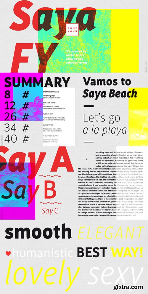 Saya FY Font Family - 12 Font $600