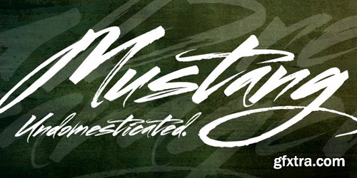 Mustang Font for $22