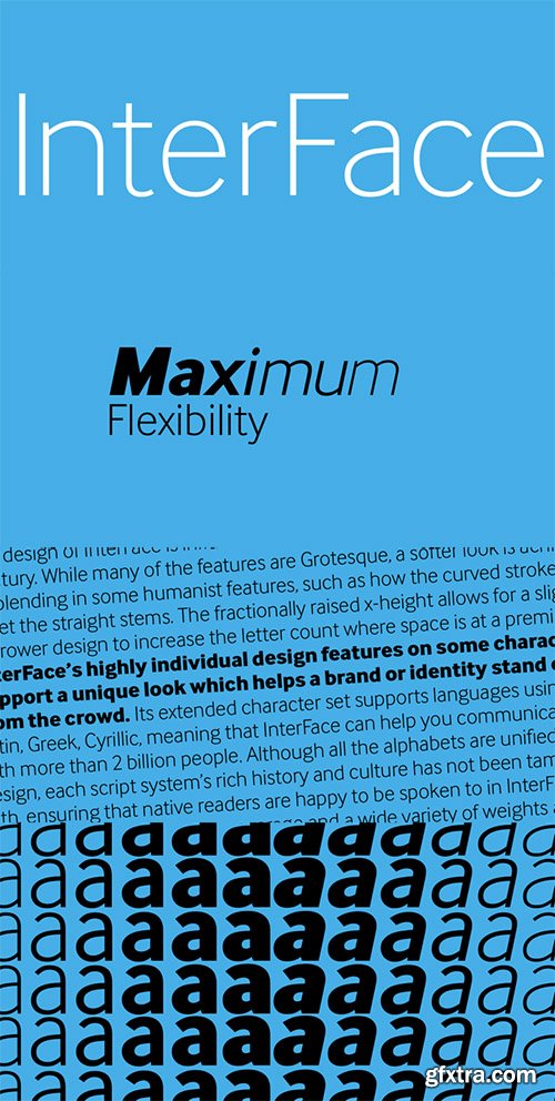 InterFace Font Family - 12 Font $972