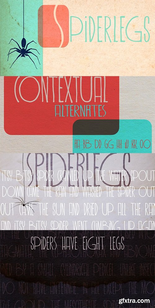 Spiderlegs Font Family - 8 Font $120