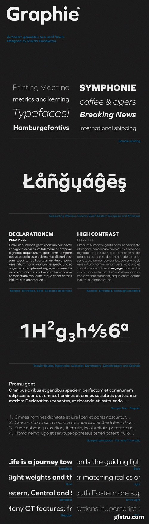 Graphie Font Family - 16 Fonts for $300