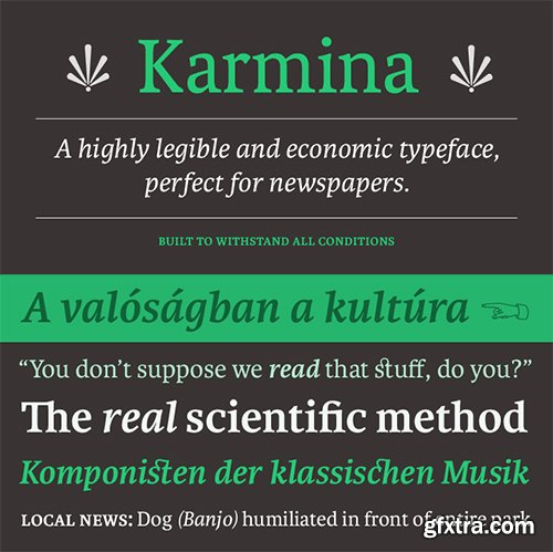 Karmina Font Family - 16 Fonts $1065