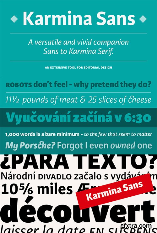 Karmina Font Family - 16 Fonts $1065