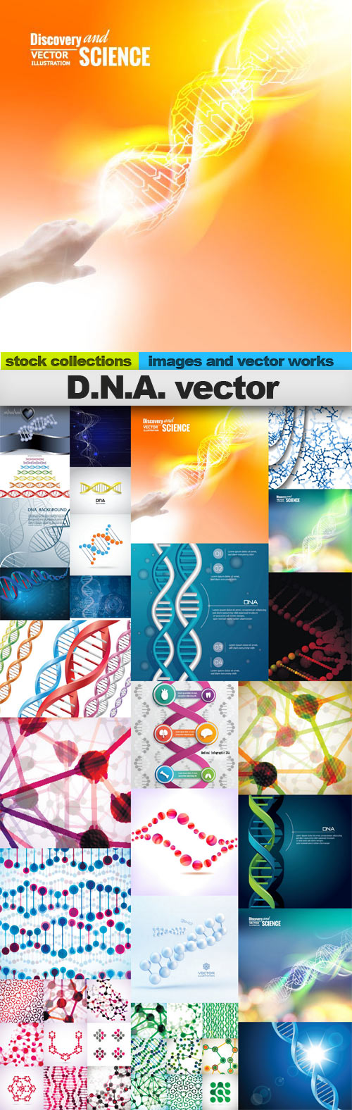 D.N.A. vector,25 x EPS