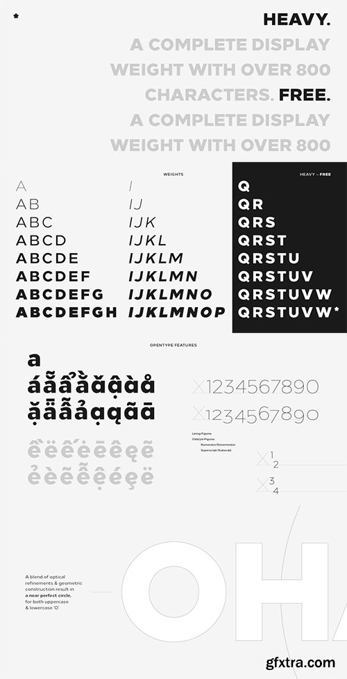 Loew Font Family - 16 Fonts $624