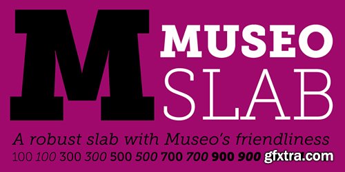 Museo Font Family - 27 Font $445