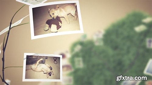 Videohive Picture Tree Photo Gallery 6272860