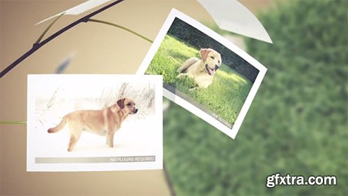 Videohive Picture Tree Photo Gallery 6272860