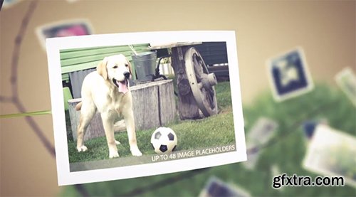 Videohive Picture Tree Photo Gallery 6272860