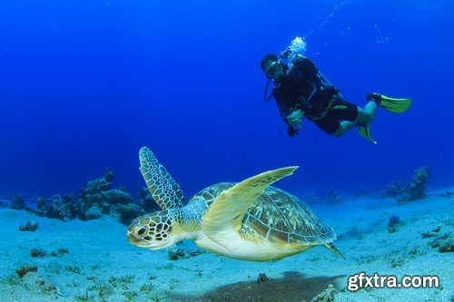 Stock Photos - Diving 2, 25xJPG