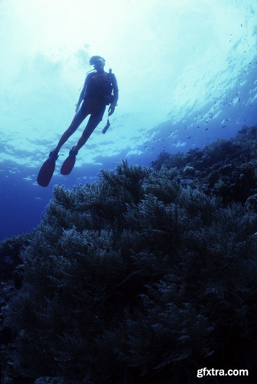 Stock Photos - Diving 2, 25xJPG