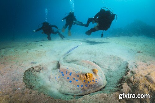 Stock Photos - Diving 2, 25xJPG