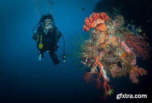 Stock Photos - Diving 2, 25xJPG