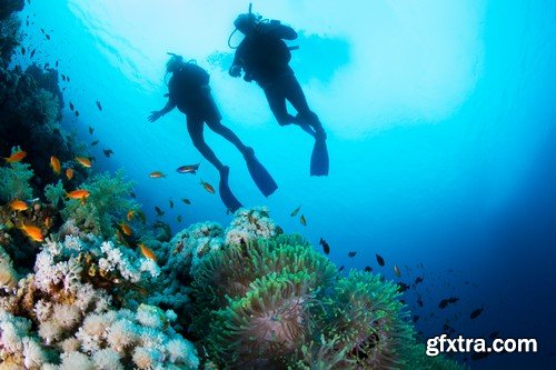 Stock Photos - Diving 2, 25xJPG