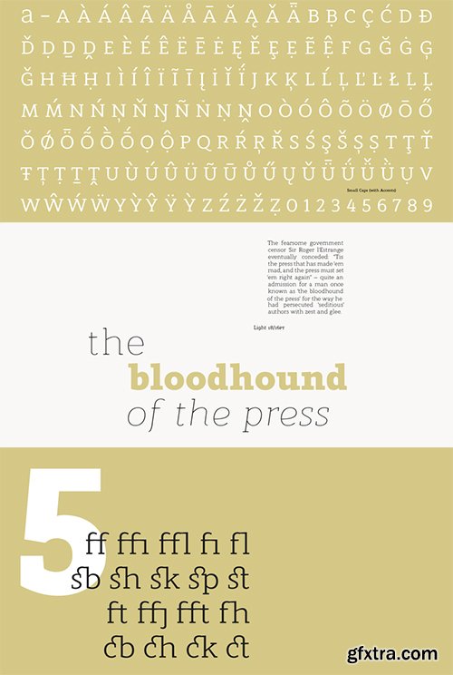 Modum Font Family - 16 Fonts $624